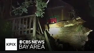 Downed tree destroys deck, damages roof of North Berkeley home