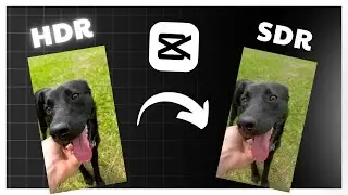 Converter HDR para SDR | MUITO F&Aacute;CIL NO CAPCUT