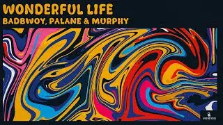 Badbwoy, Palane & Murphy - Wonderful Life (Official Video)