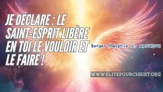 Invocation #1101 | Je d&eacute;clare : le Saint-Esprit lib&egrave;re en toi le vouloir et le faire ! | 2ᵉ Partie