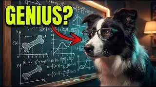 11 Signs Your Dog Is Smarter Than You Think (Is Number 7 Happening to You?)
