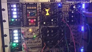 FilterFeeders 12 07 19