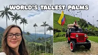 Salento, Colombia 🇨🇴| Coffee Tours, Cocoa Valley & World's Tallest Palms