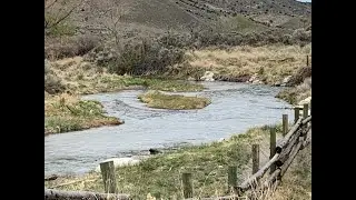 Fly fishing the Lower Beaver River, Utah, Late April