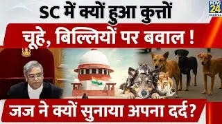 Supreme Court में क्यों हुआ कुत्तों चूहे, बिल्लियों पर बवाल!| Delhi NCR Dog Attack Case | Stray Dogs