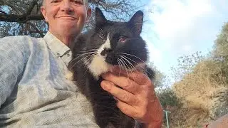 Hugo Is Safe & Well 😍 | Blind Cat&rsquo;s Mountain Adventure