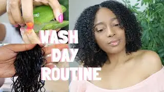Wash Day from Start to Finish | 3C Natural Hair | High Porosity