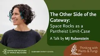 The Other Side of the Gateway: Space Rocks as a Pantheist Limit-Case with Professor MJ Rubenstein