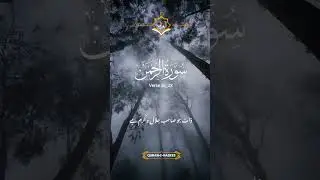 Islamic vs Secular Values Which is Better for Society#youtubeshorts