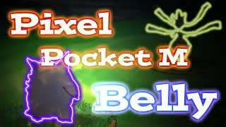 pocket pixel M ㅣglobal server battle #4