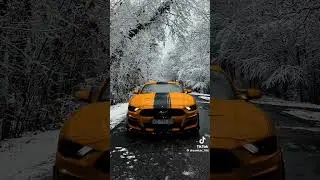 ford# mustang#muselcar# #follow #like #