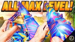 How I Got EVERY WEAPON MAX LEVEL On VANGUARD In Under 1 Week - Fastest Ways To Level Up Guns