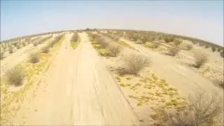Lumenier QAV-R Test Flight
