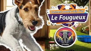Comment prendre soin d'un fox terrier ? | Documentaire Animalier