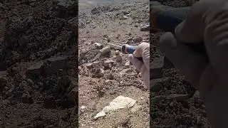 ٢٠ ديسمبر ٢٠٢٥