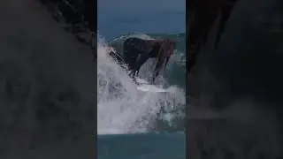 Professional Pop-Up In Slow Motion #surfing #surfboard #surf