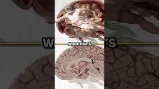 Джо Роган о скрытом смысле искусства Микеланджело #шорты