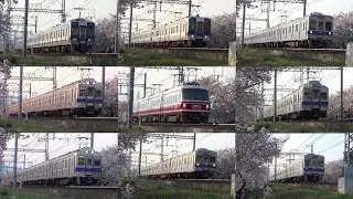 【Japan Trains】Nankai Electric Railway train running in the cherry blossoms