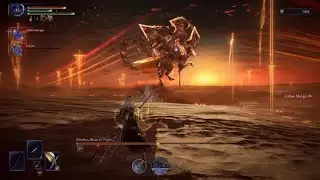 ELDEN RING NIGHTREIGN Purrty Everdark Gladius Kill Tmarkz