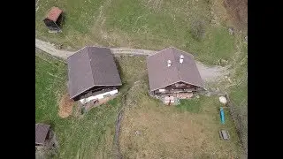 Tauernschecken am Bruchgut
