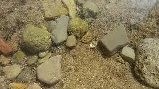 Catch the fish - Alghero, Sardinia 2018