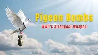 The Secret Pigeon-Guided Bombs of WWII | History&rsquo;s Strangest Weapon
