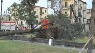 Frattaminore (NA) - Tromba d'aria, crollano alberi e coperture (07.10.16)