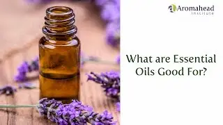 What are Essential Oils Good For?