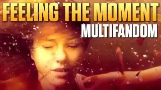 Multifandom || Feeling the Moment (collab w/ djcprod)