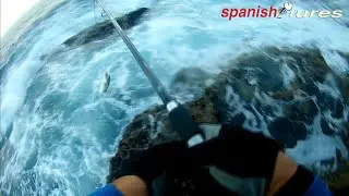 Março 2022  Robalo XL Fisterra 300H