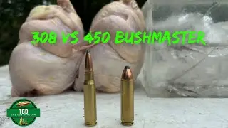 308 против 450 Bushmaster Ballistic Chickens! Пули Hornady Interlock