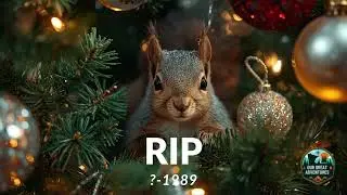 Our Great Adventures Podcast: The Day the Christmas Vacation Squirrel Died