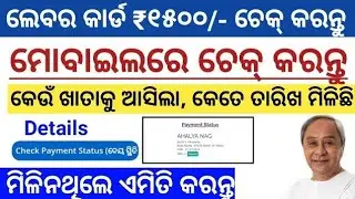 How To Check Labour Card Payment | Labour Card Money 1500 Check Online Odisha 2023 |