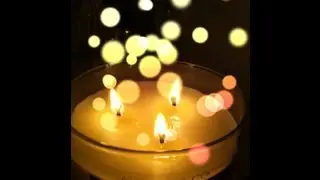 Bath & Body Works, JustFab, Target, and LC by Lauren Conrad Haul