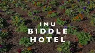 IMU BIDDLE HOTEL PROJECT