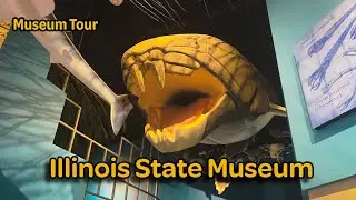 Virtual Tour: Discover Illinois State Museum in Springfield, IL