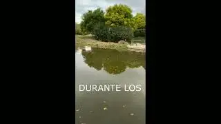 HISTORIAS DEL AGUA-97, EL PARQUE DE 