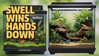 Swell Reptiles- Terrarium Dart Frog Build