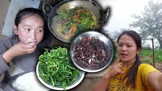 Buff Dry Meat with Fiddlehead #Niguro Recipe cooking & eating || राङ्गाको सिकुटी र निगुरोको तरकारी