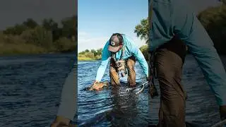 Хоппер Хуан Рамирес. Гид по нахлыстовой рыбалке в Колорадо! Полный выпуск уже доступен! #нахлысто...