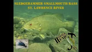 St Lawrence Flogger Smallmouth