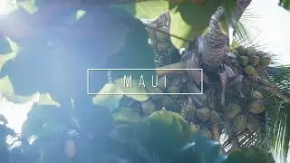 Maui 2018 | Travel Film | Lumix G85 + Mavic Pro