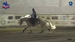 4 show ACCR 2025 - MIGLIORELLI MANUEL & POLIFEMO STEP score 69,5