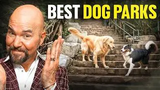 Toronto&rsquo;s Best Dog Parks You Must Visit | Hidden Gems & Local Favorites! EP. 1