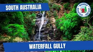 🌿 Waterfall Gully Adelaide ~ Short Walks in South Australia