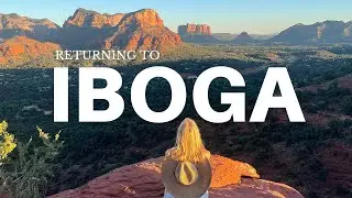 IBOGA: Why I'm Going Back