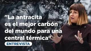 Los tipos de carb&oacute;n y su proceso de formaci&oacute;n