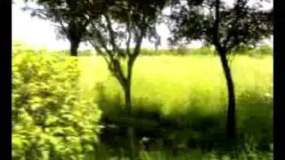 21092009006