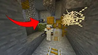 ZELDZAME MOB SPAWNER BIJ EEN MINE SHAFT GEVONDEN IN MINECRAFT 1.16!