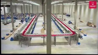 Horizontal Sorter @Foxpost